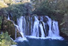 The Final Assessment of Earlier Arguments