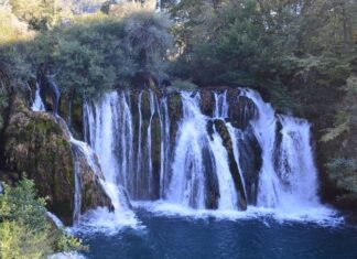 The Final Assessment of Earlier Arguments