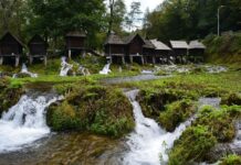 Du Cange and the Problem of the Processions